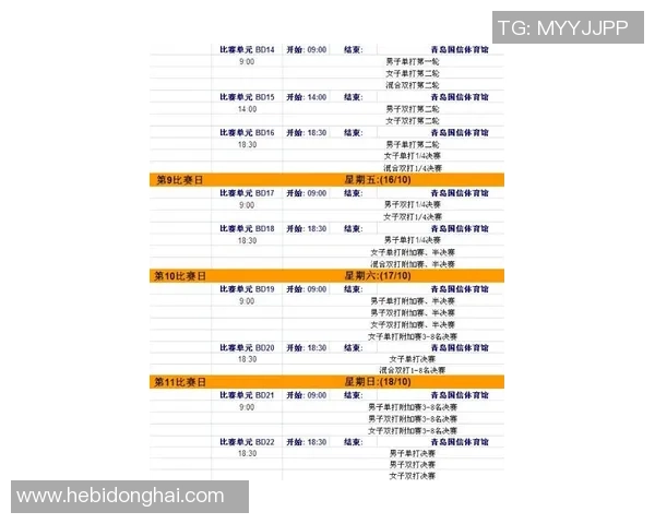 武汉羽毛球队在全运会积分榜中以67分稳居第一名展现强劲实力